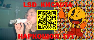 гидропоника Славгород