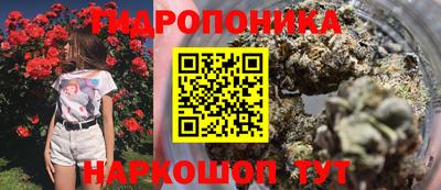 прущая мука Сланцы